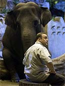 Kevin James se sincera con un elefante en 'Zooloco'