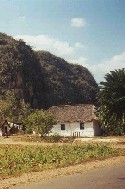 Rancho tabaquero