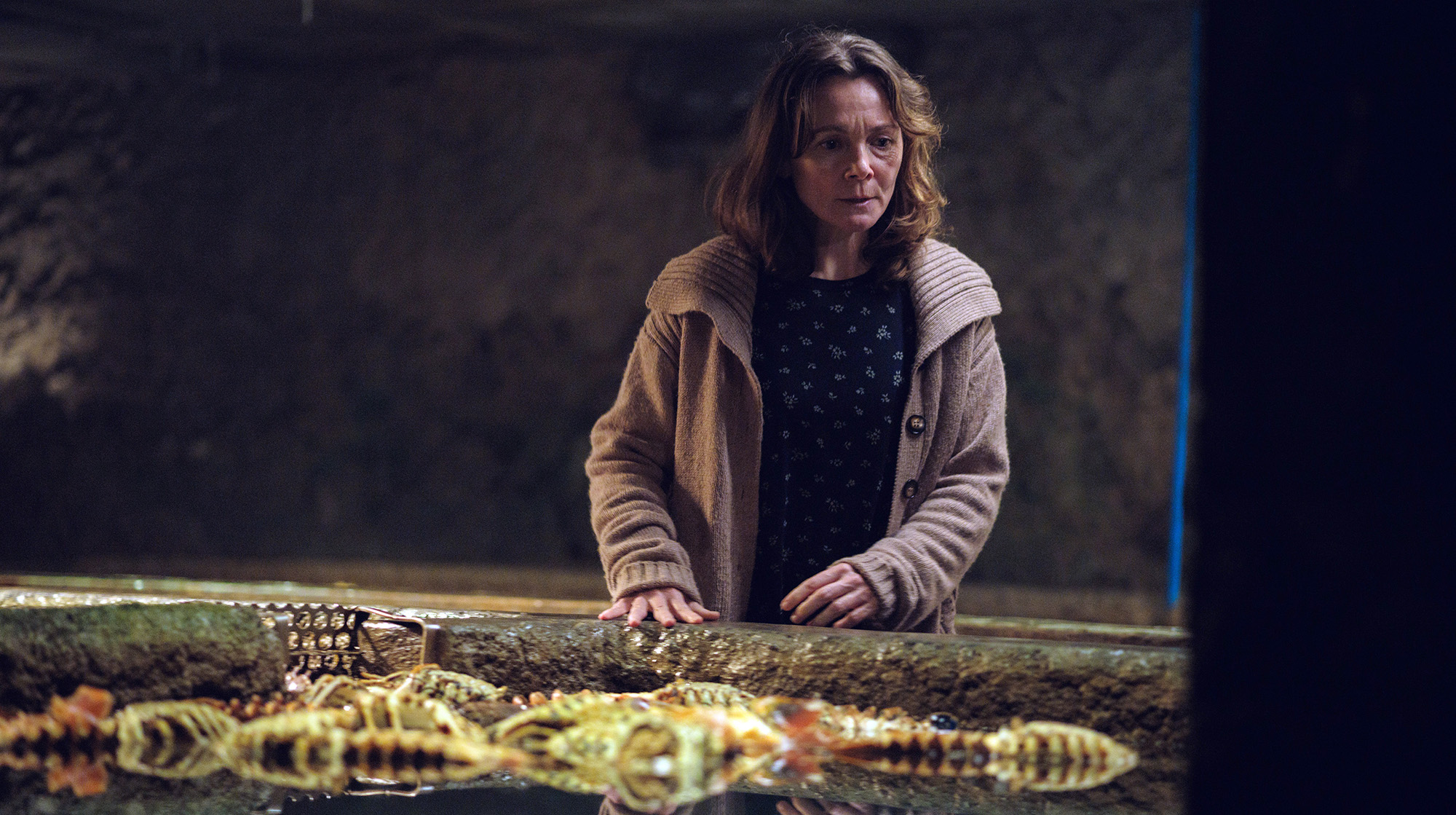 Aramburu, en "Salitre"