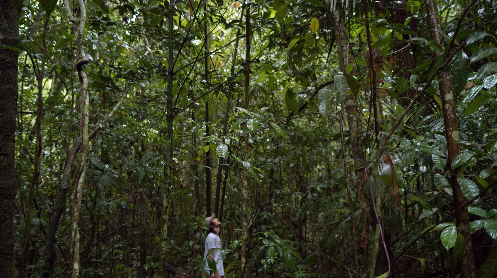 La colombiana Selva