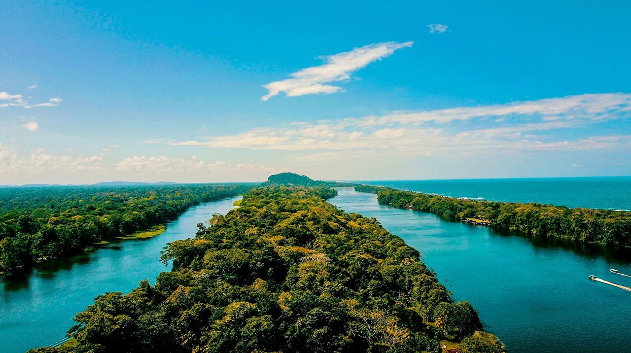 El parque natural Tortuguero