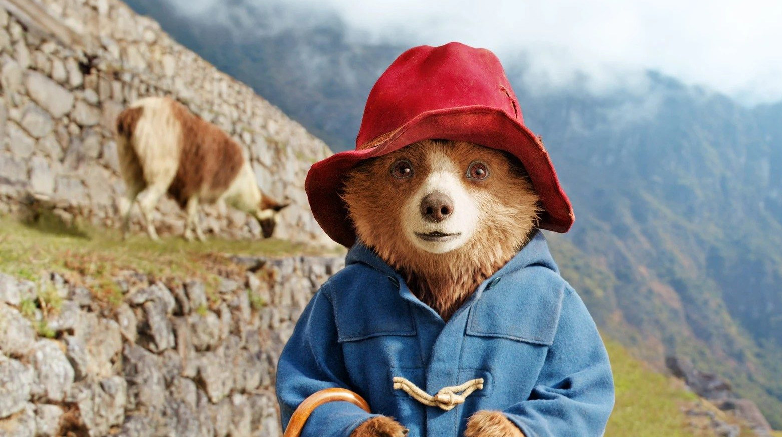 "Paddington en Perú"