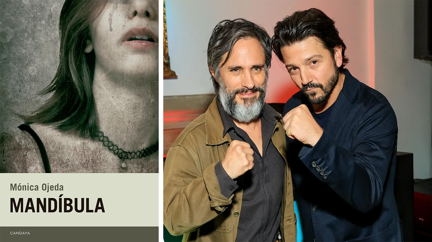 La novela y los productores García Bernal y Luna
