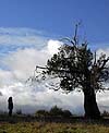 El cielo, la tierra...