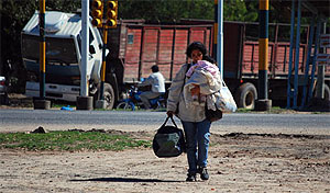 'Las acacias'